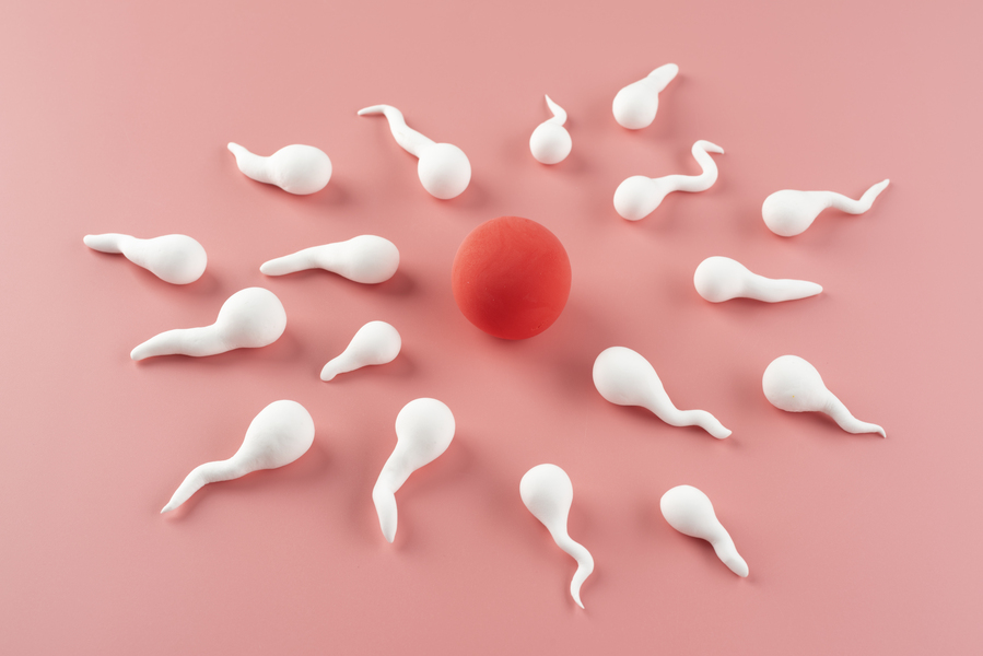 Top 8 Signs of Healthy Sperm