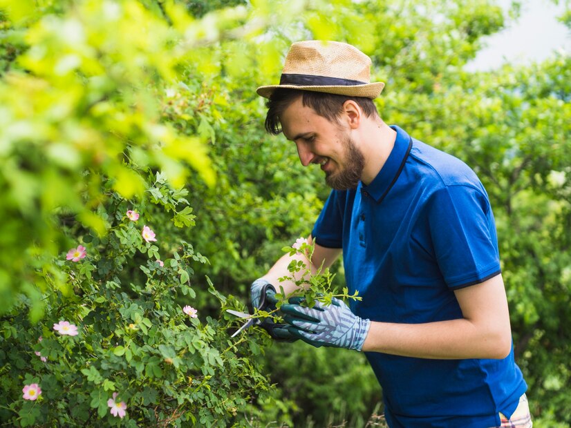 happy-male-gardener-pruning-green-plant_23-2147844326