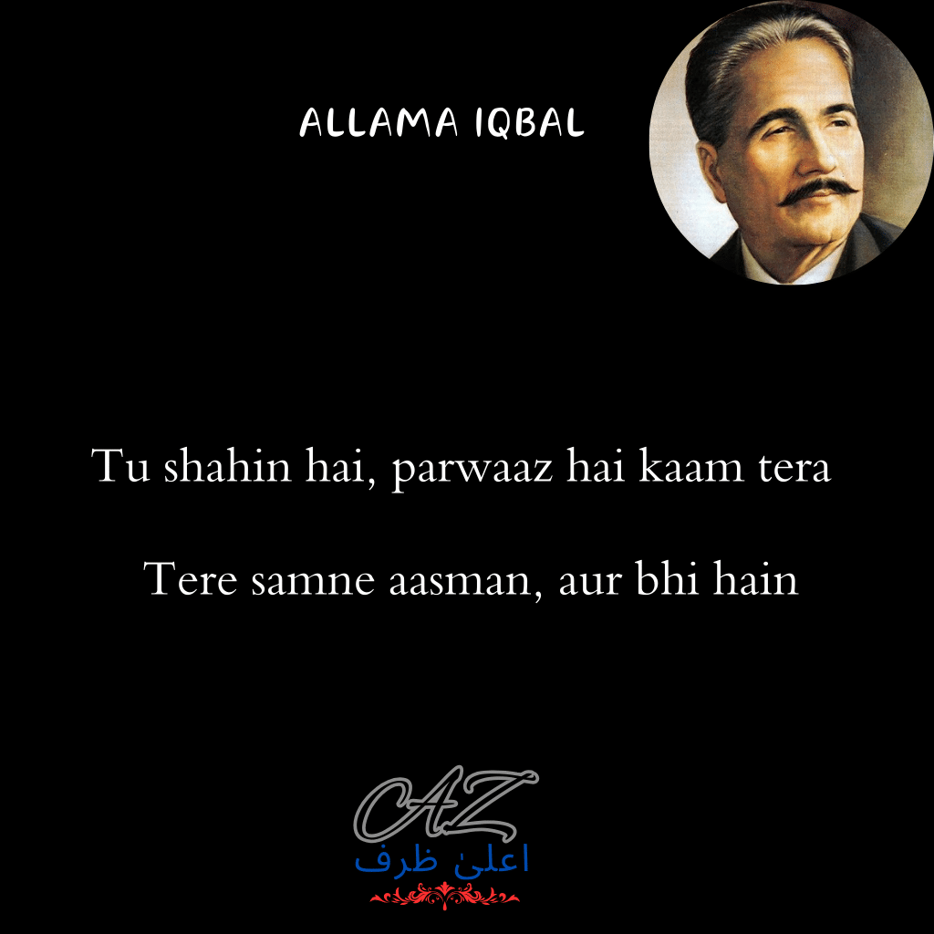 to-shaheen-hai-kam-hai-nparwaz-tera-allama-iqbal-poetry