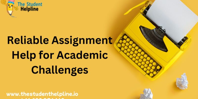 Best Accounting Assignment Help in Malaysia (22)