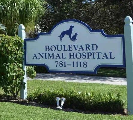 BoulevardAnimalHospital