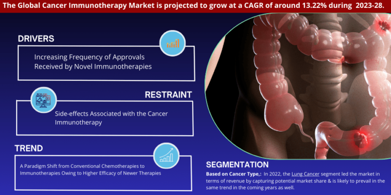 Cancer Immunotherapy