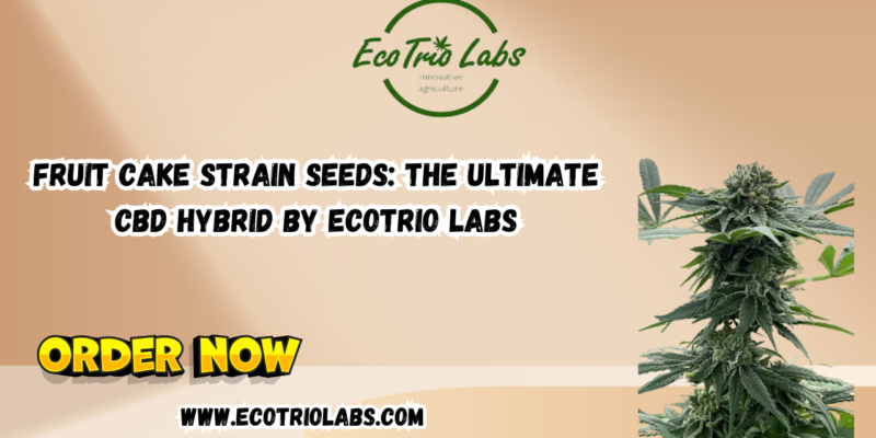 Fruit Cake Strain Seeds The Ultimate CBD Hybrid by Ecotrio Labs