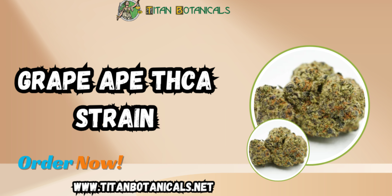 Grape Ape THCA Strain