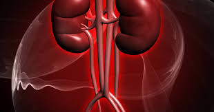 Kidney Health,