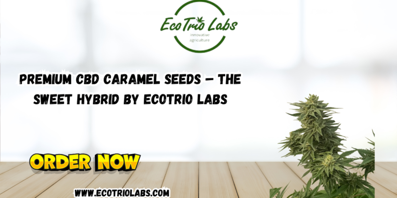 Premium CBD Caramel Seeds – The Sweet Hybrid by Ecotrio Labs