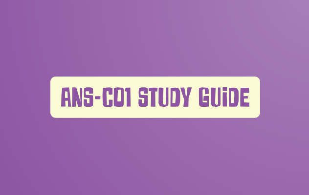 ANS-C01 Study Guide