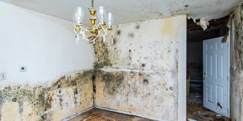 7-Common-Misconceptions-About-Water-Damage-Repair