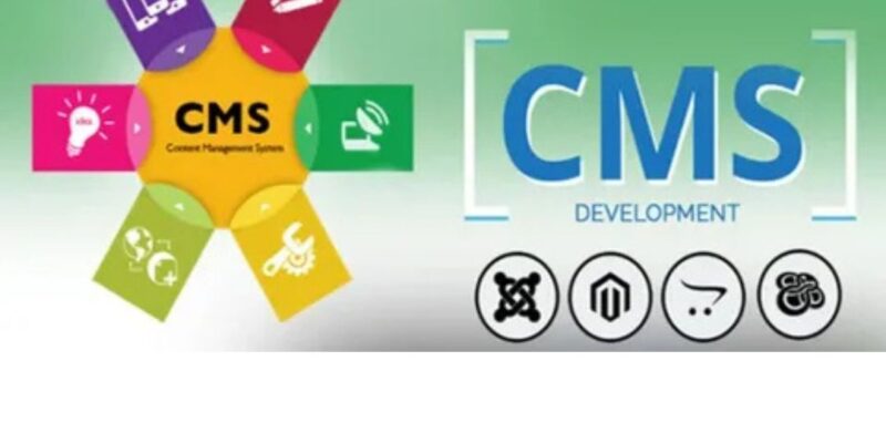 CMS development company