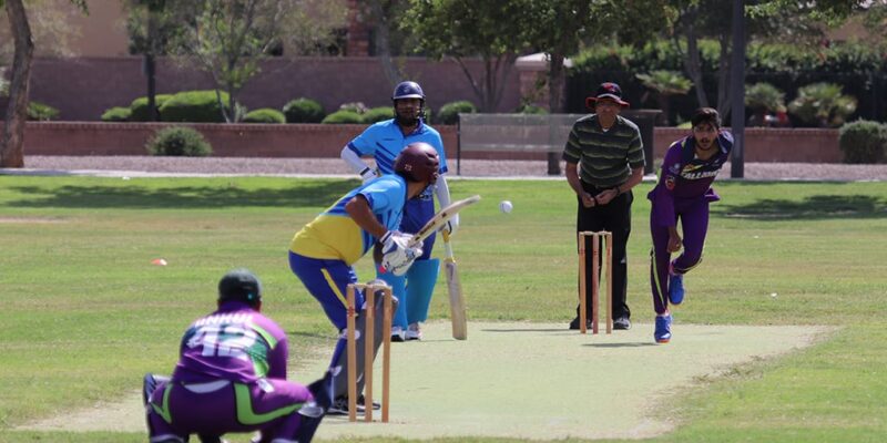 Cricket in the USA