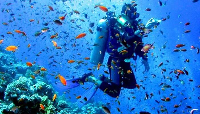 Diving in andaman