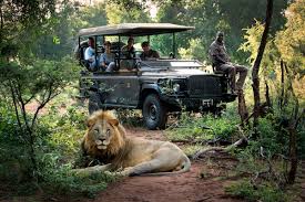 South Africa Safari