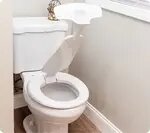 TrueToilet-jpg