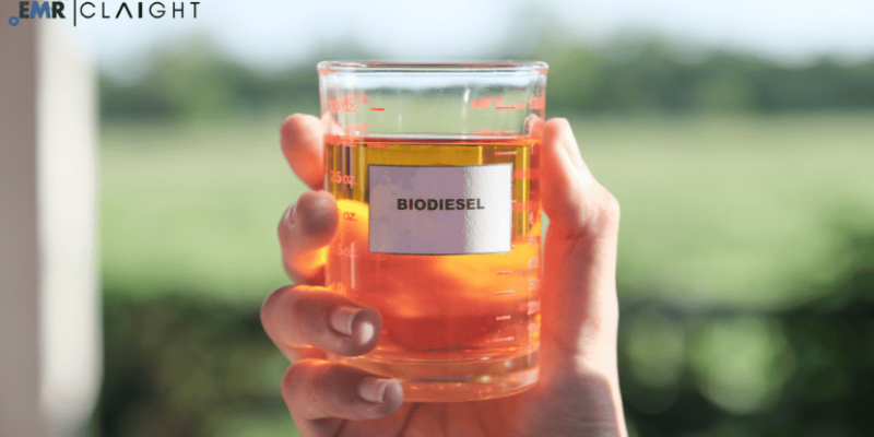 biodiesel-market