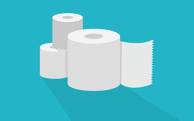 toilet-paper-5000684_640