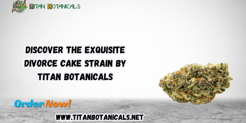 Discover the Exquisite Divorce Cake Strain by Titan Botanicals