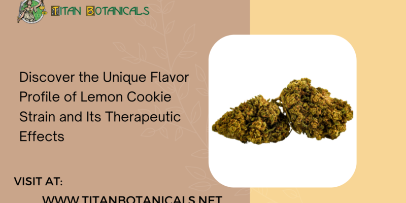 Discover the Unique Flavor Profile of Lemon Cookie Strain and Its Therapeutic Effects