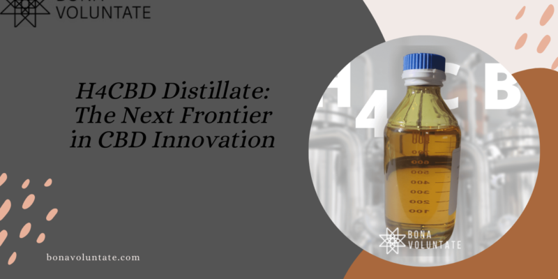 H4CBD Distillate The Next Frontier in CBD Innovation