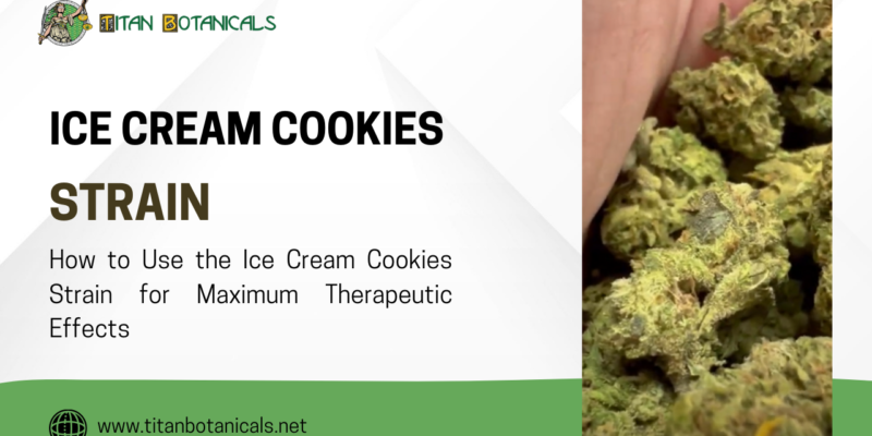 How to Use the Ice Cream Cookies Strain for Maximum Therapeutic Effects