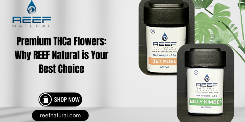 Premium THCa Flowers Why REEF Natural is Your Best Choice