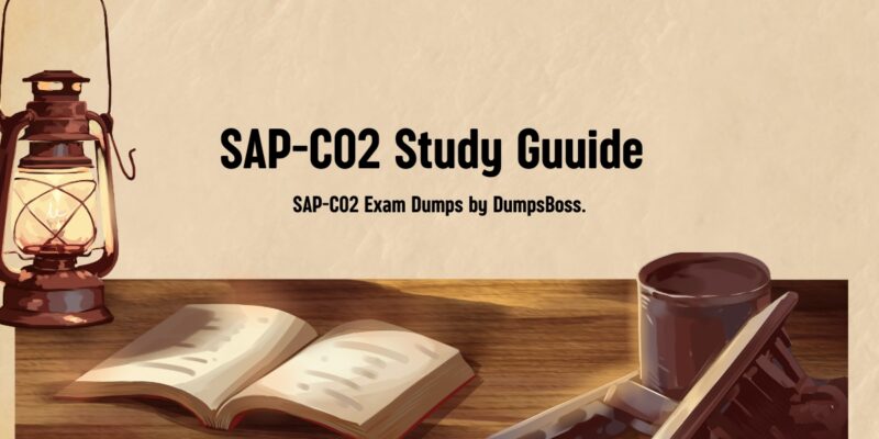 SAP-C02 Exam Dumps