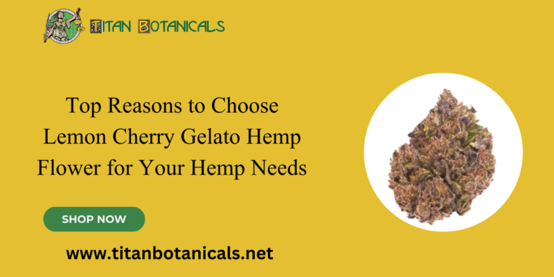 Top Reasons to Choose Lemon Cherry Gelato Hemp Flower for Your Hemp Needs