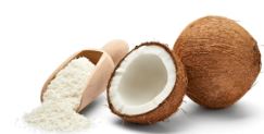 coconut milk powder market