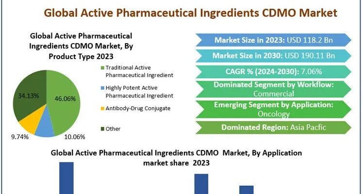 Active Pharmaceutical Ingredients CDMO Market 4