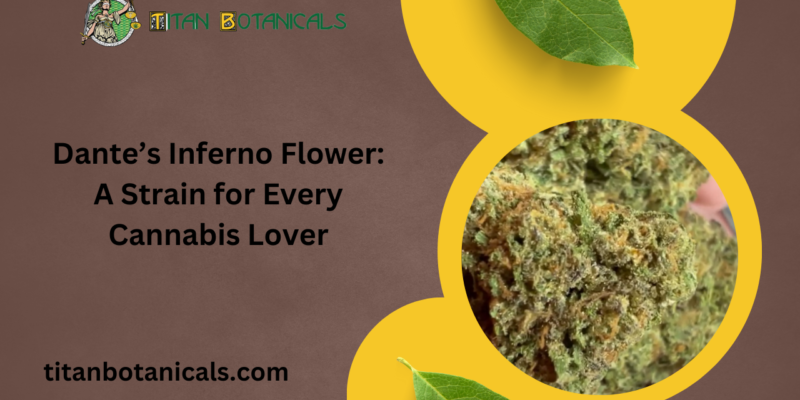 Dante’s Inferno Flower A Strain for Every Cannabis Lover