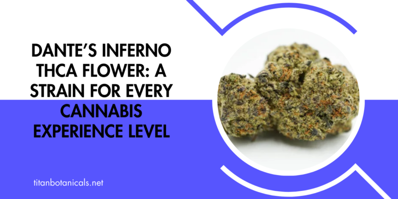 Dante’s Inferno THCA Flower A Strain for Every Cannabis Experience Level