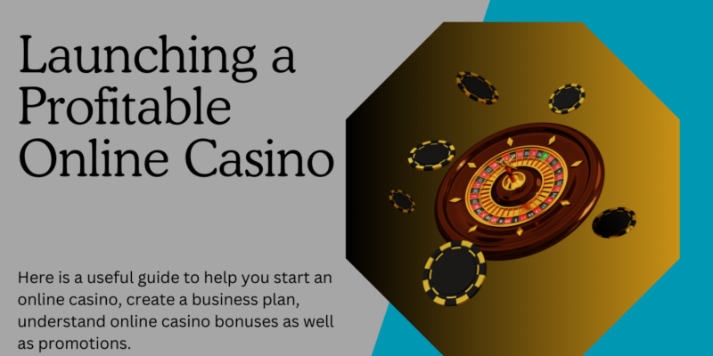 Launching a Profitable Online Casino