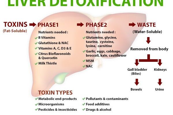 Liver Detox