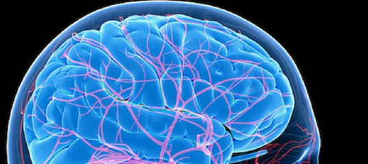 Neurovascular Devices Market 4