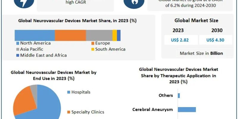 Neurovascular Devices Market Growth