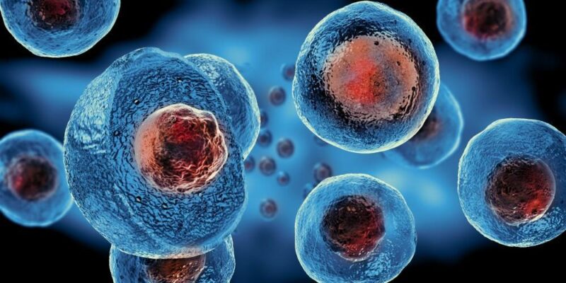 Regenerative Stem Cell Tharapy by Medicine