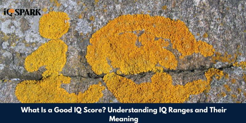 What Is a Good IQ Score Understanding IQ Ranges and Their Meaning