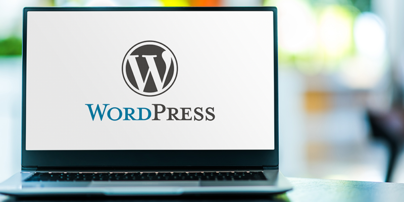 WordPress Developer Vacancy