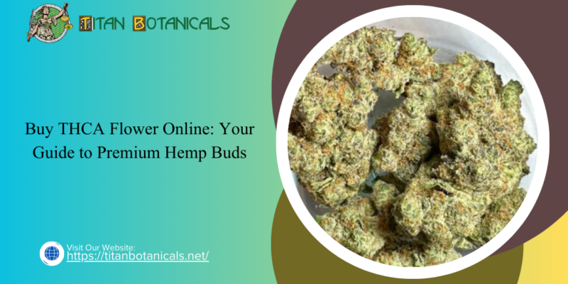 Buy THCA Flower Online Your Guide to Premium Hemp Buds