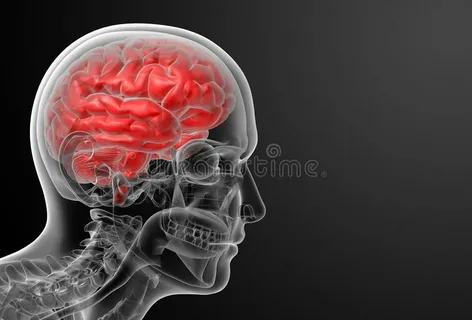 Meningitis-Treatment-Market