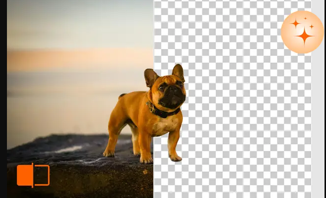 free background remover